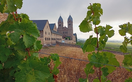 Abbey in Germany - vineyard, monastery, Germany, church, fields