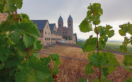 Abbey in Germany - vineyard, Germany, fields, church, monastery