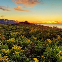 Prince Edward Island National Park, Canada