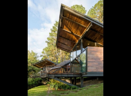Architecture - House, plants, Wood, Architecture