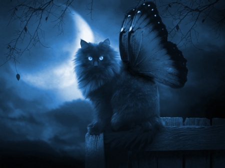 Fairy cat - moon, fantasy, blue, wings, fairy, night, cat, luna