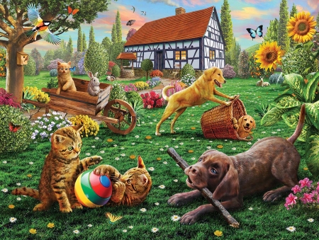 Summer fun - summer, kitten, dog, adrian chesterman, garden, cat, caine, vara