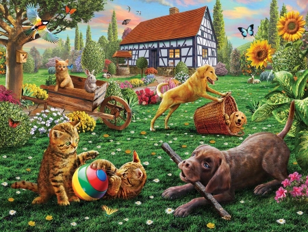 Summer fun - kitten, summer, garden, dog, caine, adrian chesterman, vara, cat