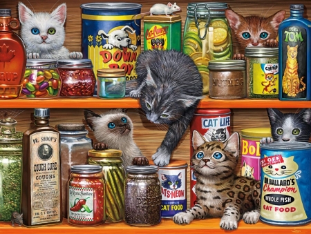 Kittens - kitten, cat, shelves, pisici, art