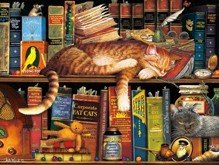 Sleeping cat - sleep, book, pisici, art, library, cat