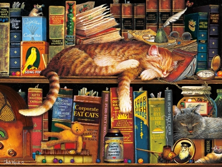 Sleeping cat - library, sleep, book, pisici, art, cat