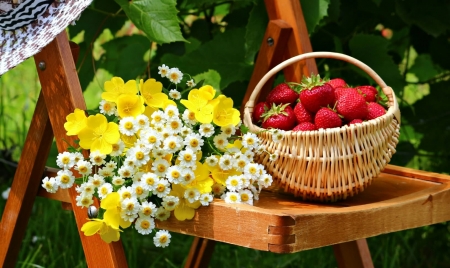 Fruit - Strawberries, Fruit, Gastronomy, Flowers