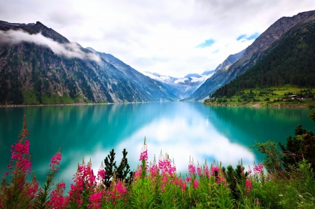 Lake Schlegeis in Austria - beautiful, Austria, reflection, mountain, wildflowers, mirror, tranquility, serenity, lake