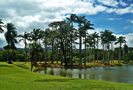 Miranda Park - Caracas, Park, Venezuela, Lagoon, Miranda Park