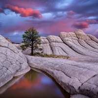 White Pocket in Arizona