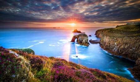 Cornwall sunrise - beautiful, clouds, coast, england, reflection, rocks, sea, sky, sunrise, wildflowers