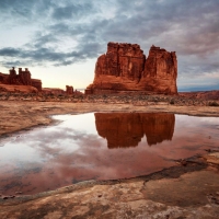 Courthouse Towers reflecting in a high desert pool, Arches National Park, Utah