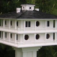 Bird House