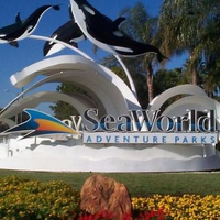 Sea World