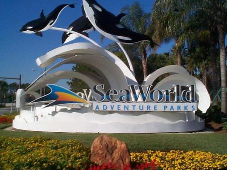 Sea World