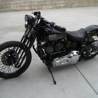 Harley D