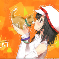cat kantoku