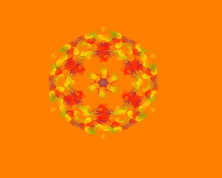 flowers fractals orange - picture, fractals, abstract, orange, flowers