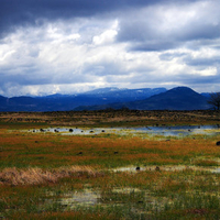 Nature From a Distance