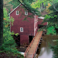 Mill in the woods