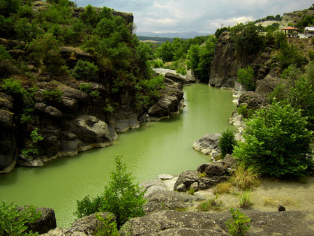  River - water, bushs, river