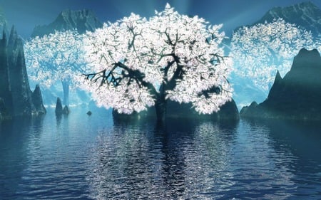 sakura - 3d and cg, abstract