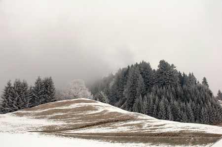 Winter Landscape V - fog, mountain, trees, winer