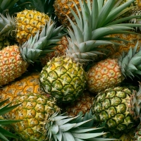 Pineapples