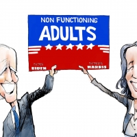 Non Function Biden