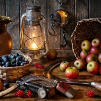 Autumn's Bounty