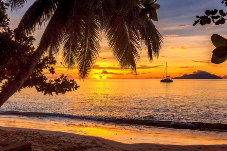Sunset at tropical beach - wave, ocean, sunset, fiery, beach, palms, sea, tropical, beautiful, orange, reflection, sands