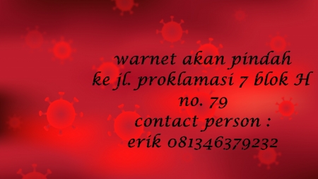 tnt - britney spears, hammock, paradise, seagull