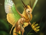 Fairy dragon