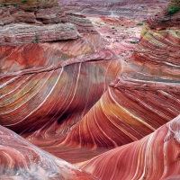 The Wave Coyote Buttes Arizonia