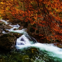 Salenques River, Posets-Maladeta Natural Park, Aragon, Spain