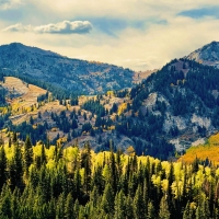 Aspens are blazing in Big Cottonwood Canyon, Utah