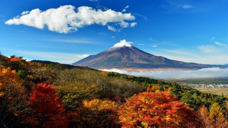 Mount Fuji, Japan - fall, trees, volcano, autumn, landscape, colors, leaves