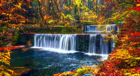 Forest water cascades in the fall - autumn, cascades, colorful, colors, foliage, forest, leaves, river, trees, waterfall