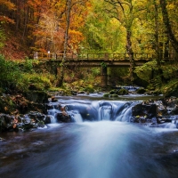 Autumn River in Cantabria, Spain