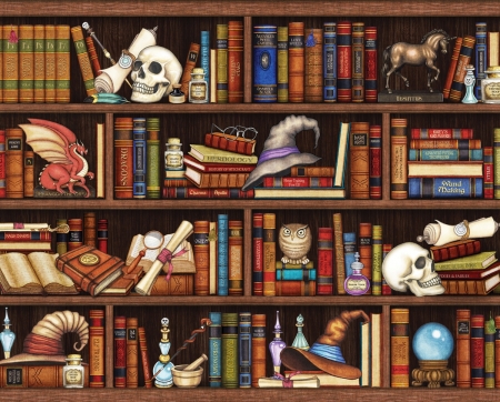 :) - shelves, dragon, book, crystal ball, halloween, art, skull