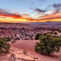 Red Canyon, Utah