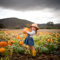 Little Girl with Pumpkin