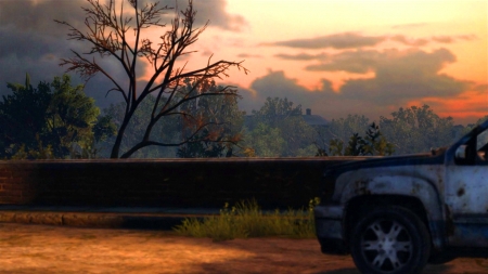 The Last Of Us - abandoned, the last of us, tlou, wildlife