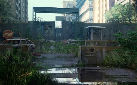 The Last Of Us - abandoned, the last of us, tlou, wildlife