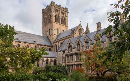 Cathedral in England - cathedral, England, trees, church