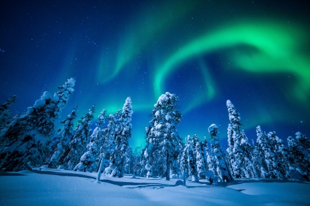 Northern lights - Finland, Trees, The, Night, Winter, Sky