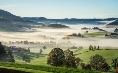 Hills of Upper Austria - hills, Austria, trees, mist