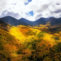 Probably best foliage in SW, Flagstaff, Arizona