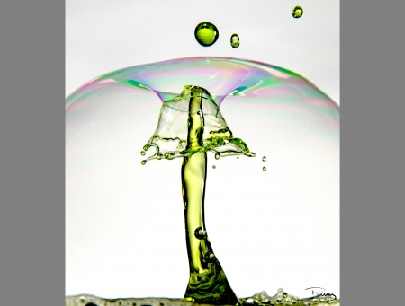 Splash - drop, photography, water, splash