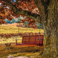 The Red Swing at Cartecay Vineyards, Georgia